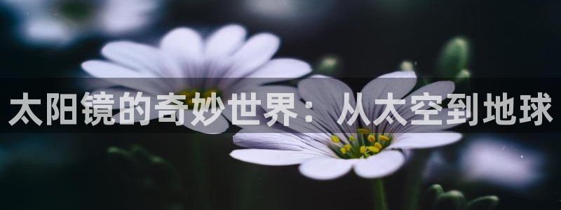 辉达娱乐体彩