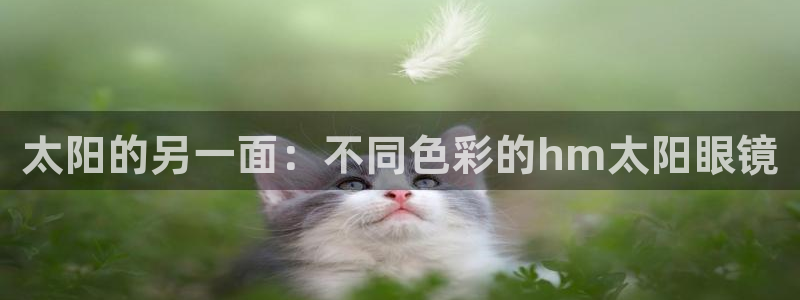 代理辉达娱乐官方网址