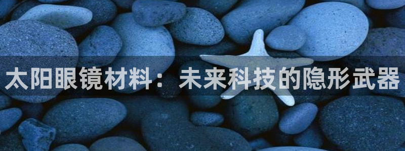 龙腾辉达电子娱乐