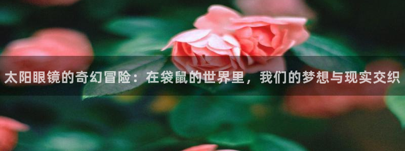 辉达娱乐最新现状