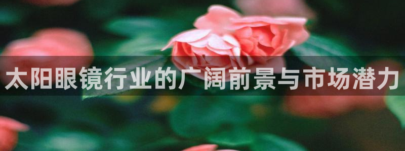 辉达娱乐检测