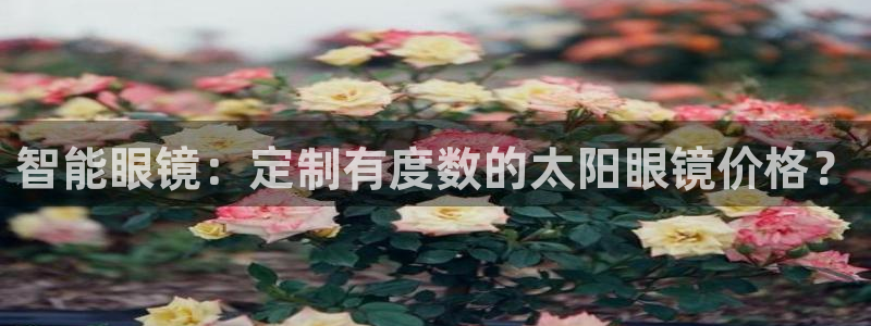 辉达怎么样