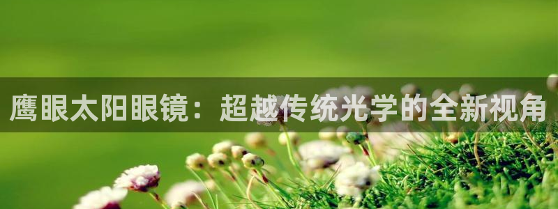 辉达娱乐丶39444