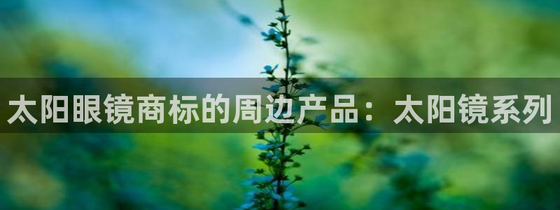 辉达娱乐待遇