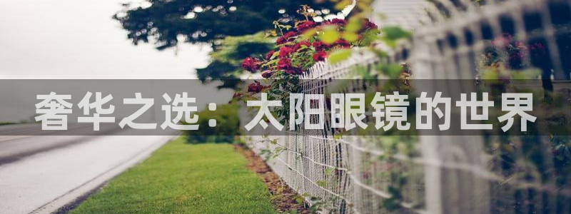 辉达娱乐计划软件