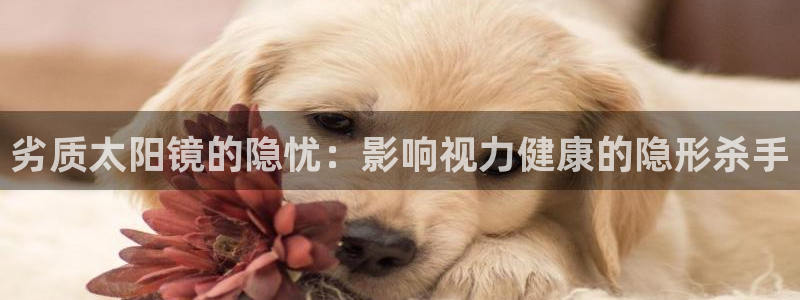 辉达娱乐可靠