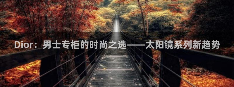 信誉辉达娱乐
