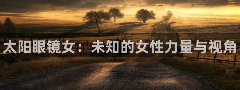 辉达娱乐公司