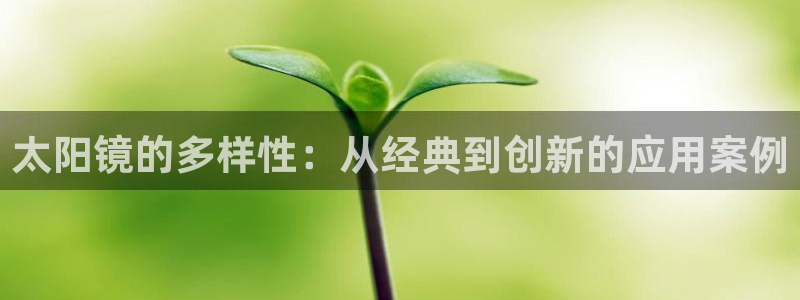 辉达娱乐计划软件