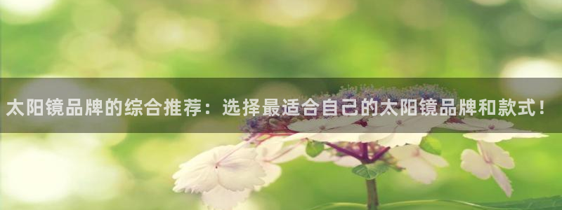 辉达娱乐多少年
